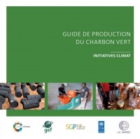 Couverture Guide charbon vert